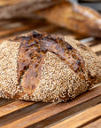 Vijgenbrood