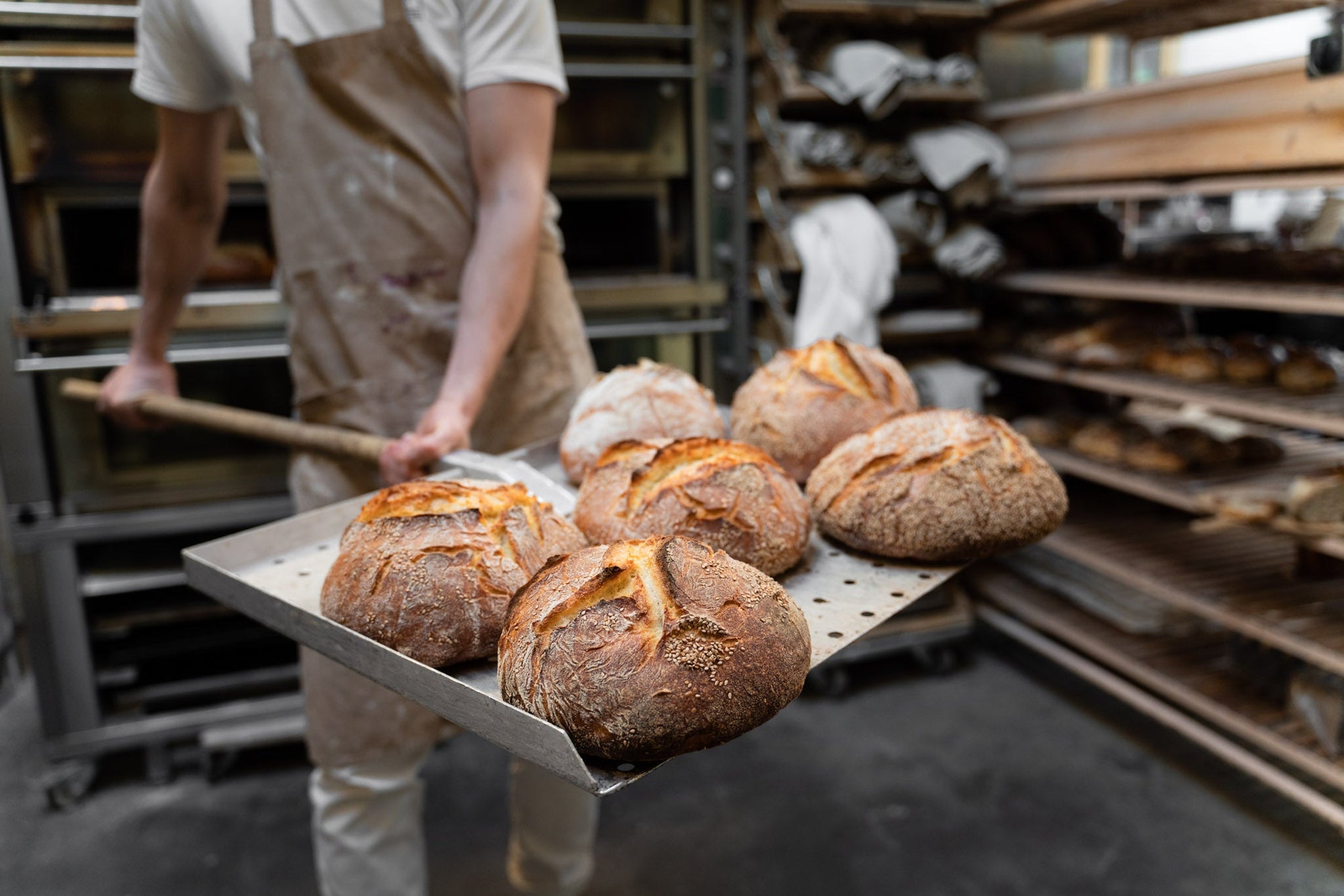 Onze Producten